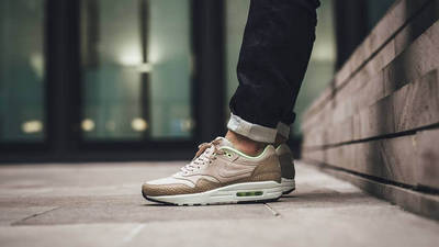 air max 1 desert camo