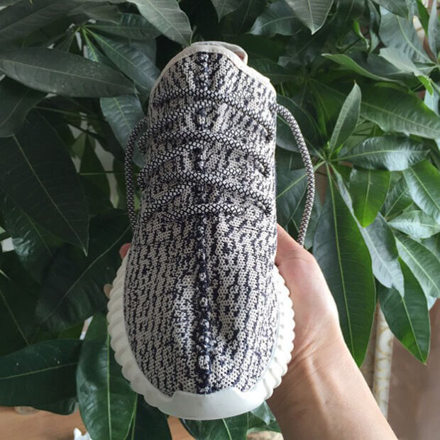 consortium yeezy