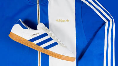 white and blue hamburgs
