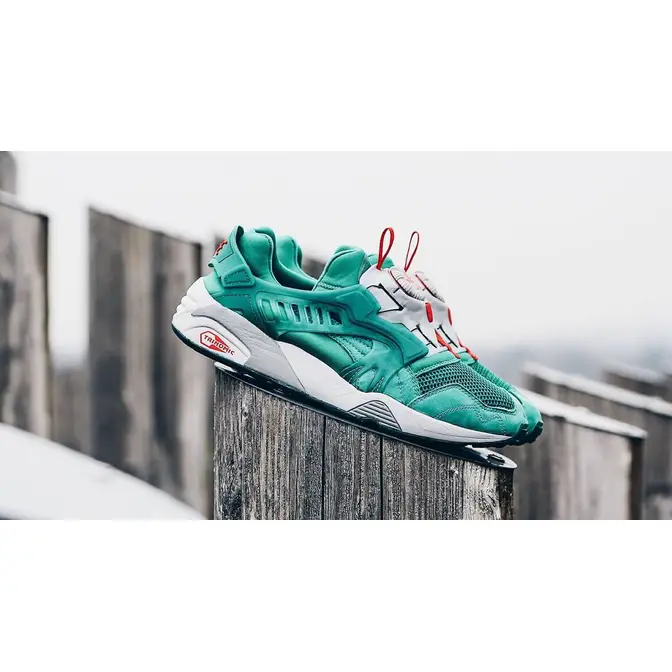 Puma trinomic on sale disc 37