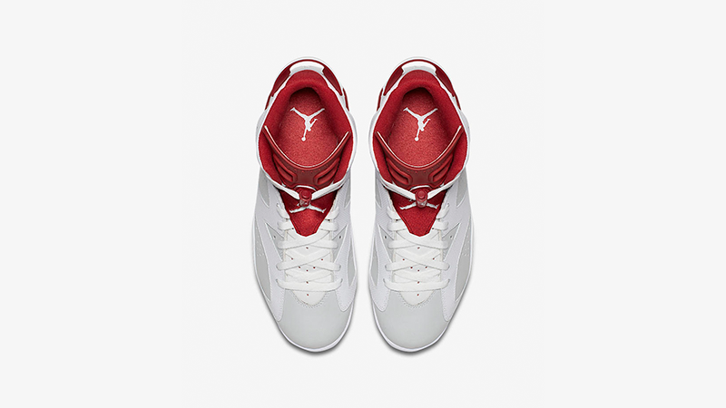 Jordan 6 Alternate