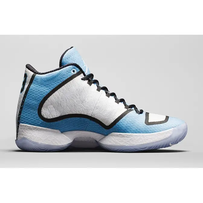 Jordan 29 shop blue