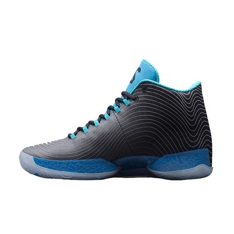 Jordan 29 low store blue