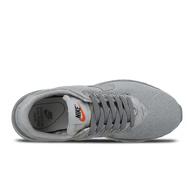 Nike Air Max LD-Zero Grey