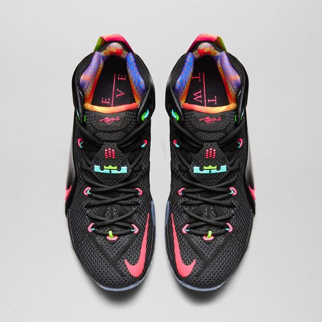 lebron 12 data for sale