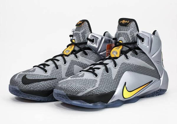 lebron 12 flight