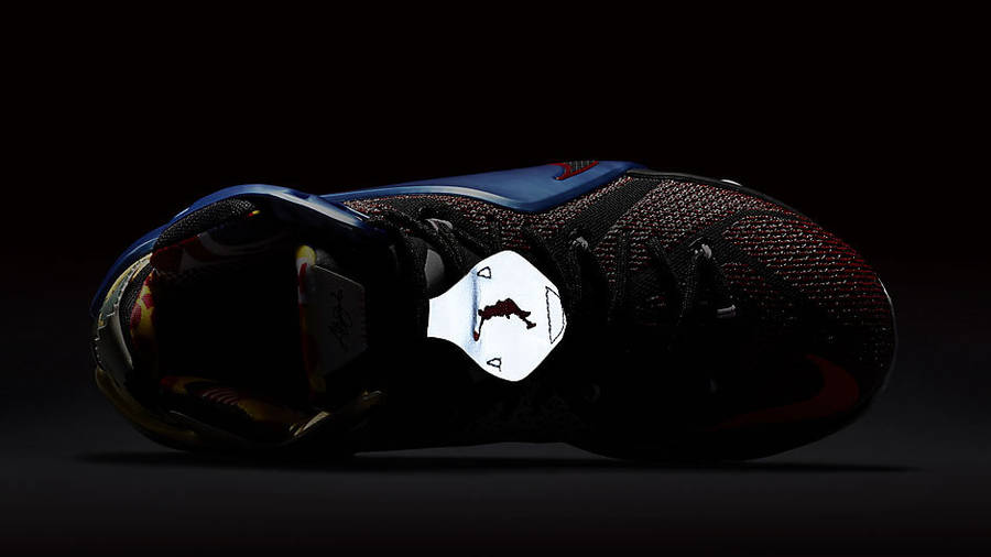 lebron 12 se what the