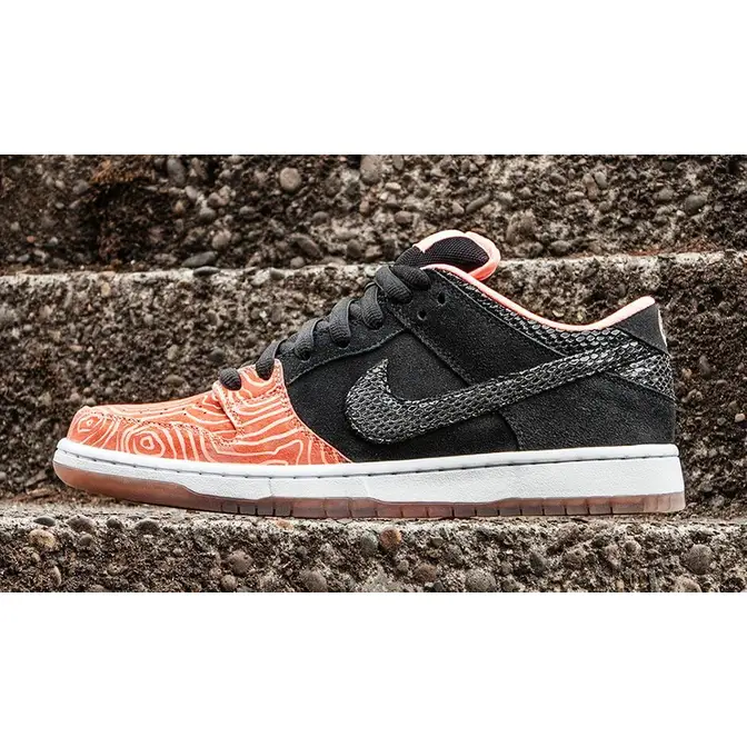 Nike SB Dunk Low Premium Fish Ladder | Where To Buy | 313170-603