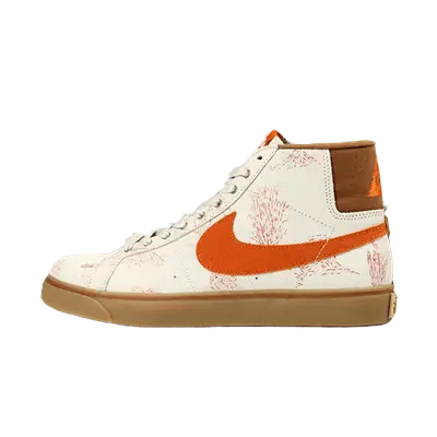 nike sb x poler blazer