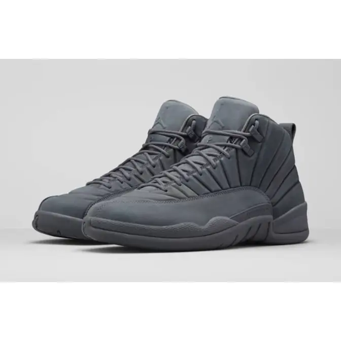 Jordan 12 hot sale dark grey