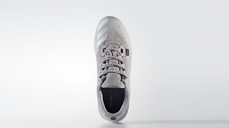 adidas Day One Terrex Agravic Grey