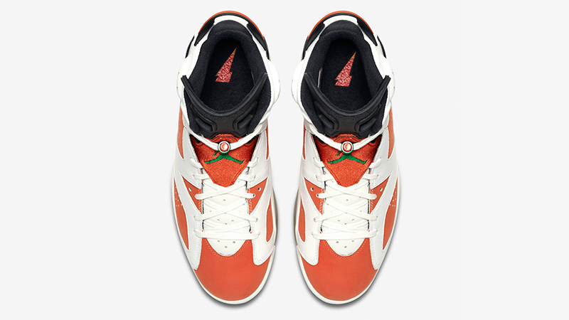 Air jordan best sale retro 6 gatorade