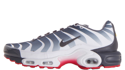 grey and white tn