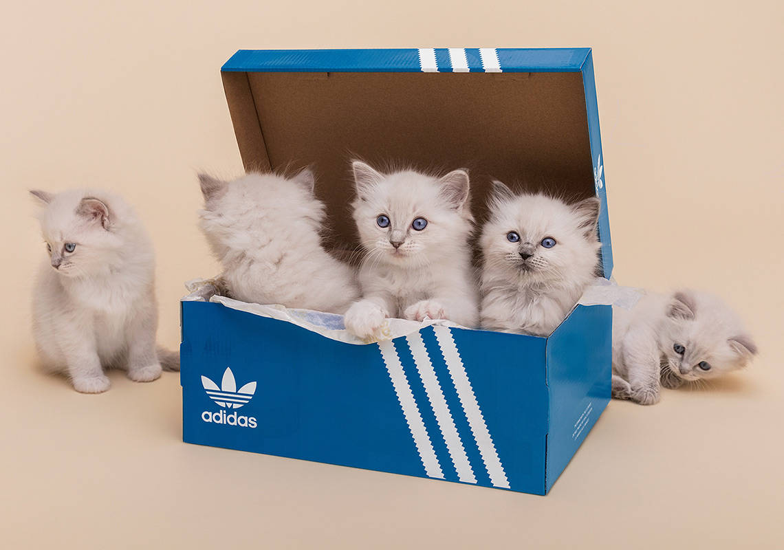 This SNS x adidas I-5923 Campaign Might Just Be The Cutest Yet