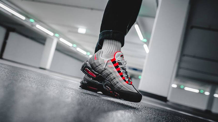 air max 95 solar red on feet