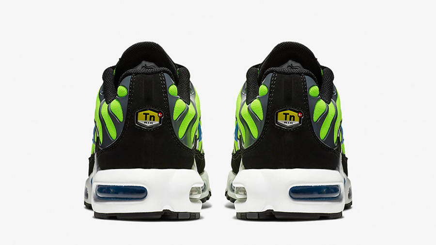 tn black volt