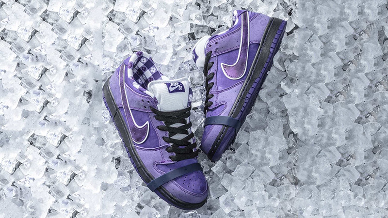 Concepts x Nike SB Dunk Low Pro Purple 