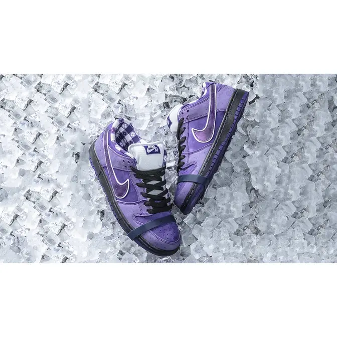 Concepts X Nike SB Dunk Low “Purple Lobster” BV1310 555, 40% OFF