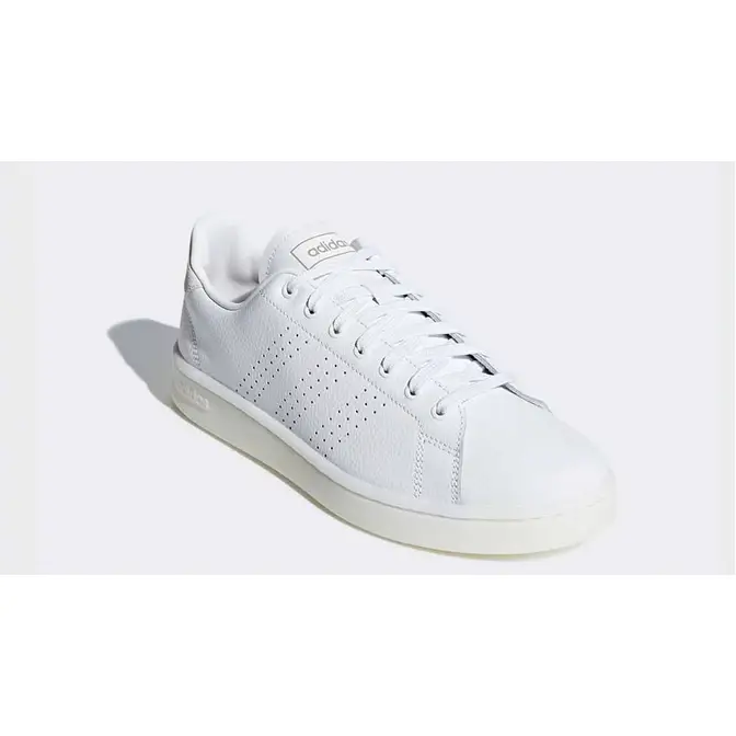 adidas Advantage White | Where To Buy | F36469 | The Sole Supplier