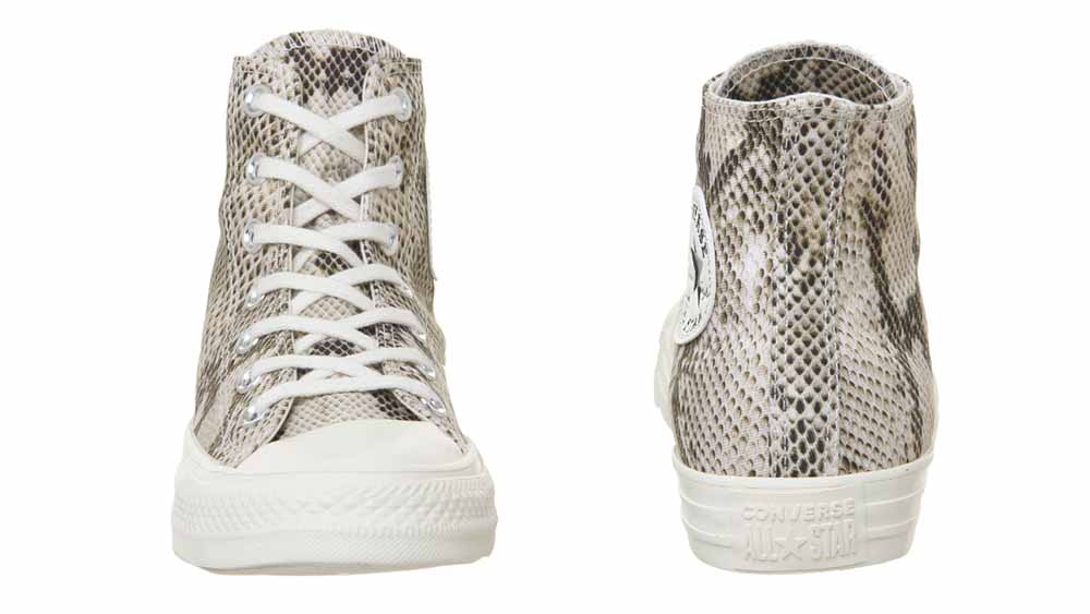 Converse Chuck Taylor All Star Hi Egret Snake
