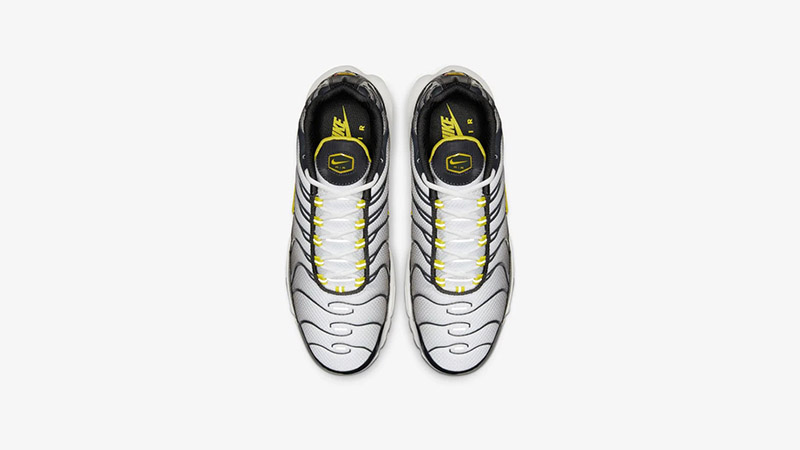 Nike TN Air Max Plus Black Silver