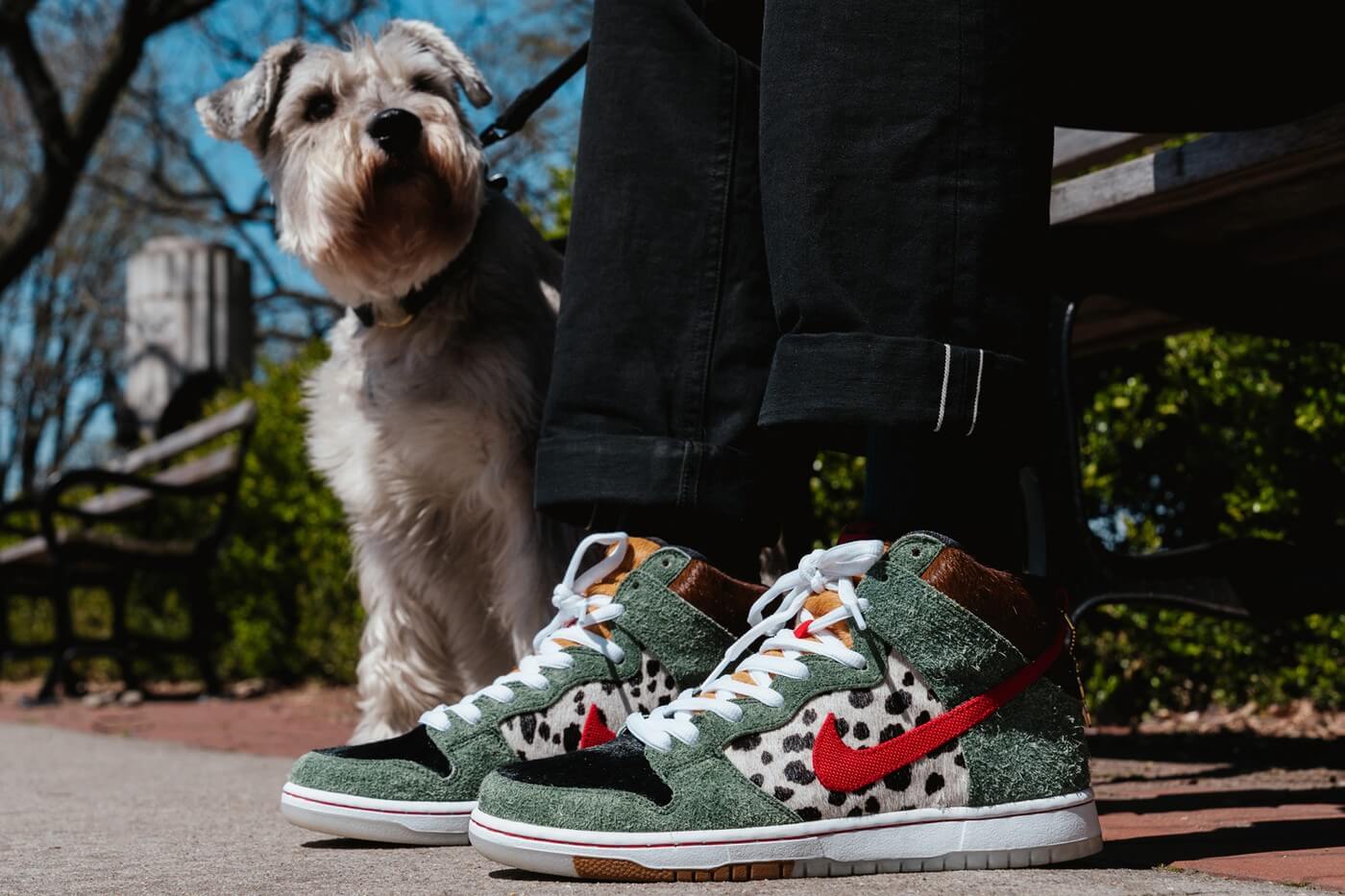 The Nike SB Dunk High 'Walk The Dog' Is 
