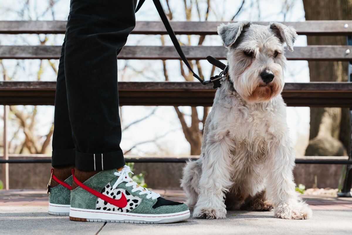 The Nike SB Dunk High 'Walk The Dog' Is 