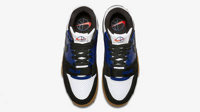 polar nike sb air trainer 1