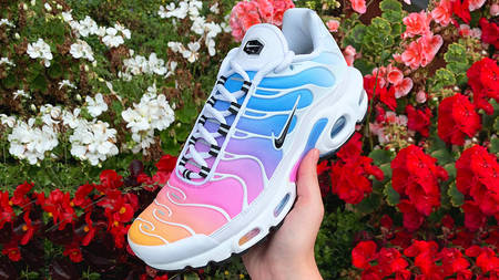 We Can't Stop Obsessing Over The Colours On This Nike Air Max Plus