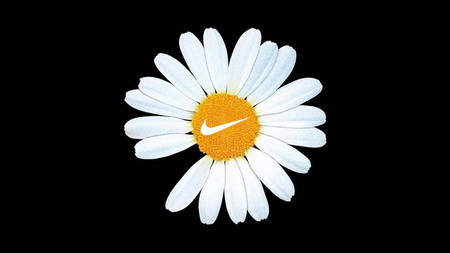 First Look At G-Dragon's PEACEMINUSONE x Nike Air Force 1 'Para?Noise' First Look At G-Dragon's PEACEMINUSONE x Nike Air Force 1 'Para?Noise'
