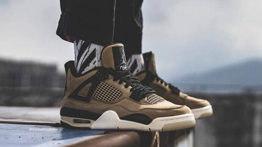 mushroom jordan 4s