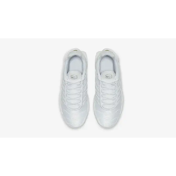 Nike TN Air Max Plus White Silver | Where To Buy | AR1852-100 | The ...