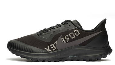 Nike Zoom Pegasus 36 Trail GTX Black