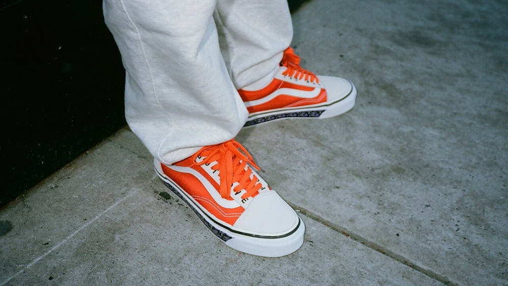 The Patta x Vans Fall 2019 Collection Is As Premium As It Gets The Patta x Vans Fall 2019 Collection Is As Premium As It Gets