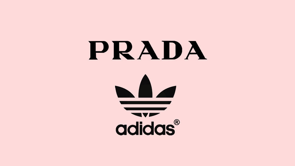 Prada x adidas Originals Collaboratino Prada x adidas Originals Collaboratino