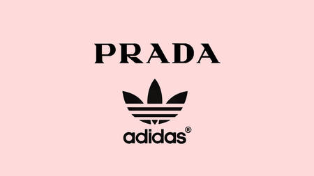 Prada Teams Up With adidas To Collaborate On Two New Sneakers Prada Teams Up With adidas To Collaborate On Two New Sneakers