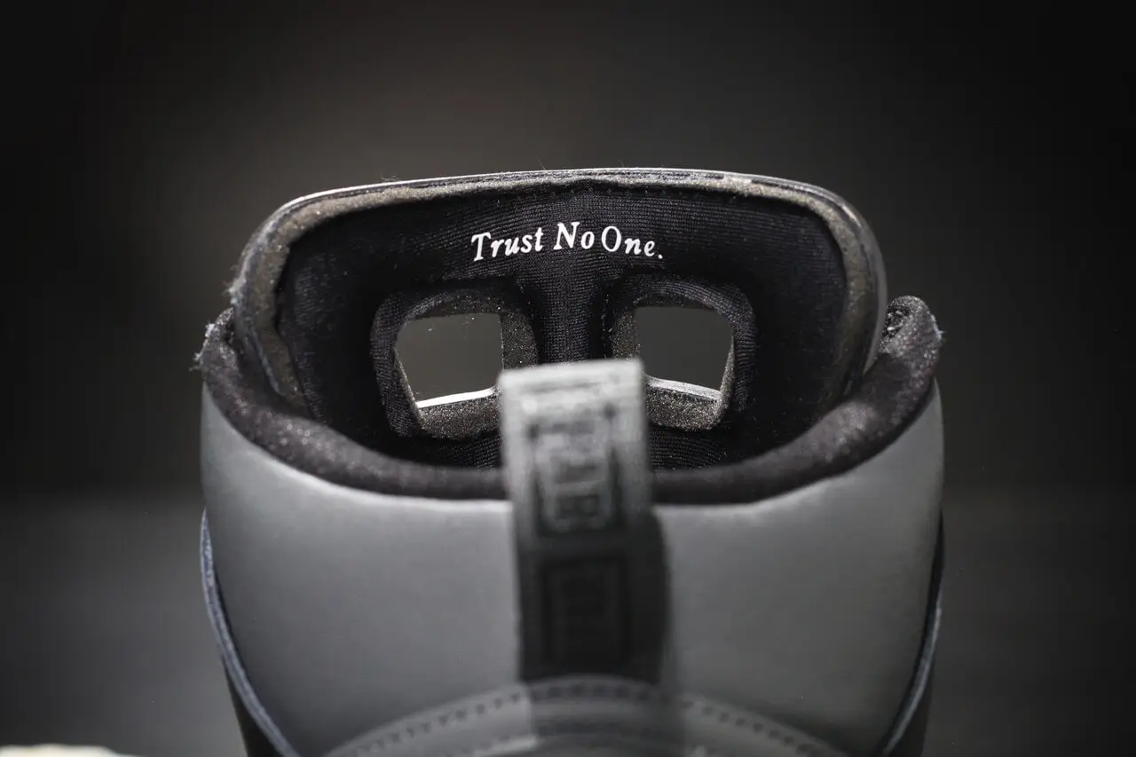 fpar x nike sb dunk high