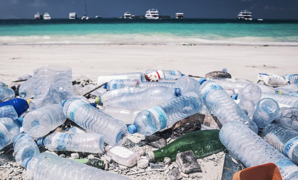 adidas parley beach rubbish