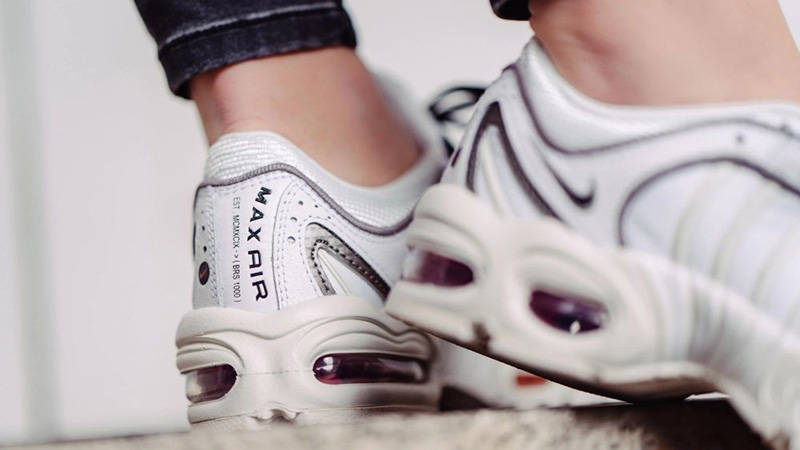 nike tailwind blue ribbon sports