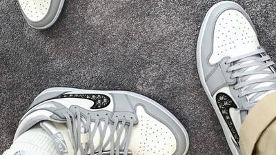 Dior x Jordan 1 Low OG Grey on foot side