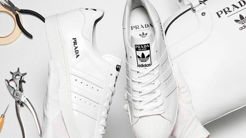 Prada x adidas Superstar