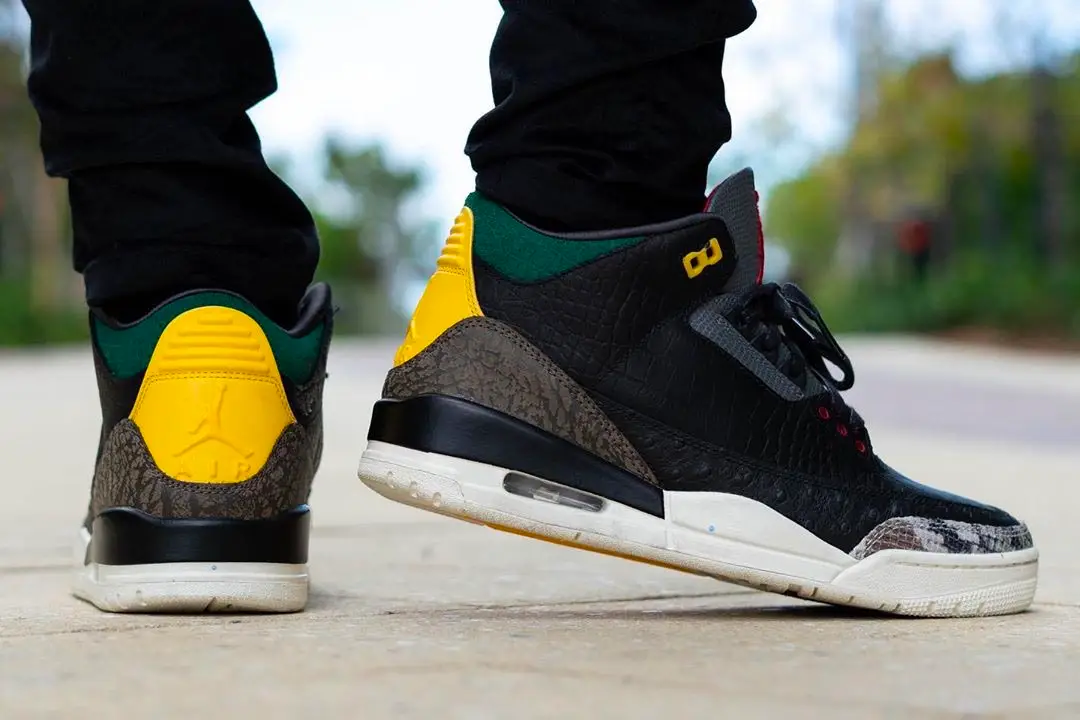 The Air Jordan 3 