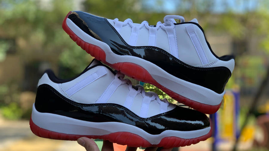 Jordan 11 Low Concord Bred Lifestyle On Hand