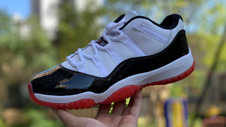 Jordan 11 Low Concord Bred Side On Hand