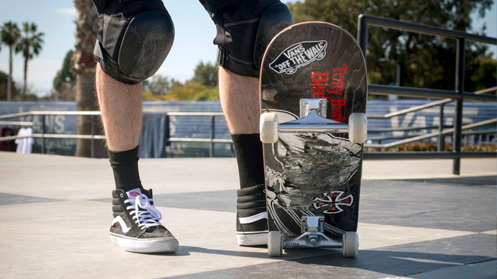 tony hawk x vans