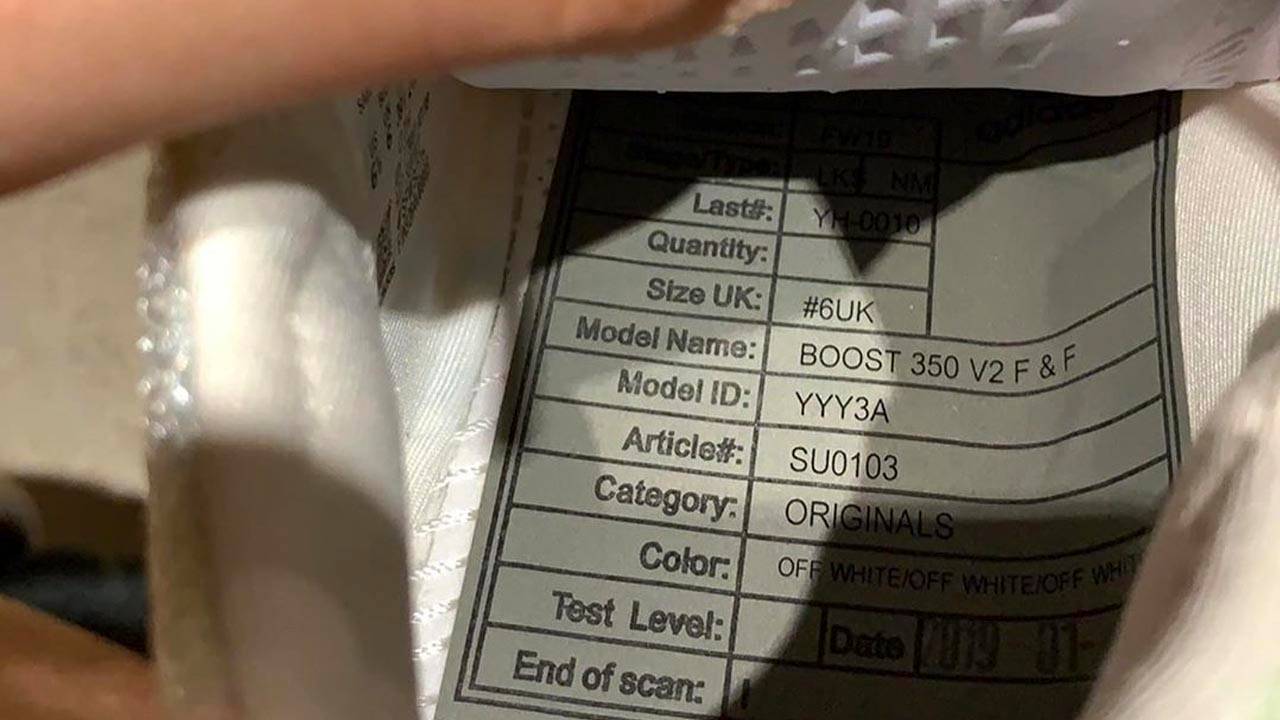 Yeezy Boost 350 V2 "Friends & Family"