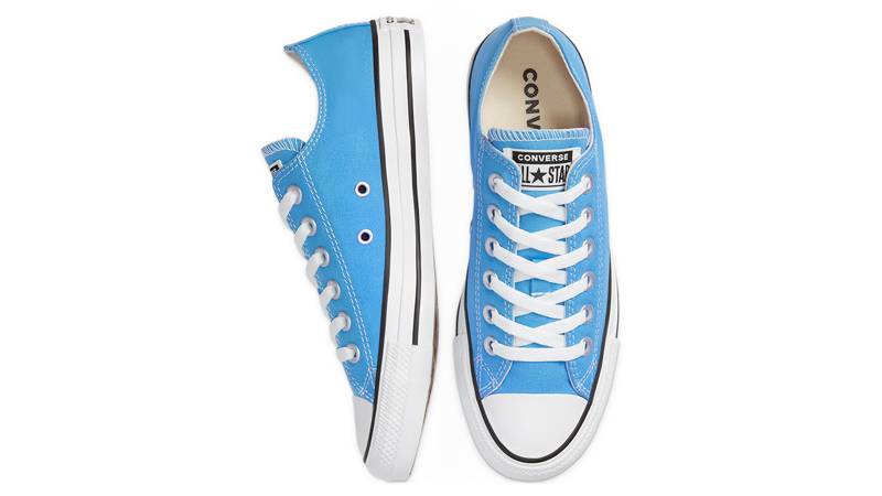 Converse Chuck Taylor All Star Low Top Seasonal Colour Coast Blue Middle