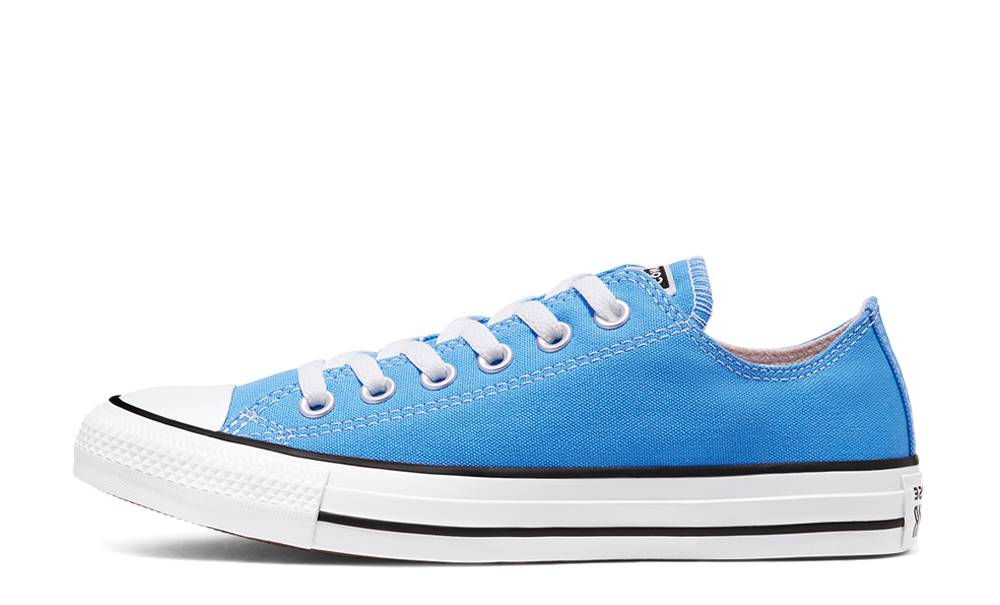 chuck taylor all star seasonal colour low top