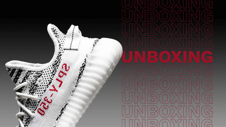 adidas Yeezy Boost 350 V2 "Zebra" Unboxing | Re-Release, Hype & More adidas Yeezy Boost 350 V2 "Zebra" Unboxing | Re-Release, Hype & More