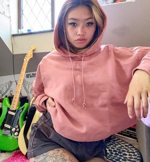 adidas Cropped Hoodie Pink